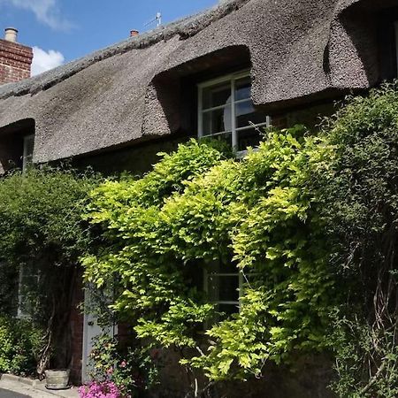 Little Thatch Cottage - Cerne Abbas, Dorset Exteriér fotografie