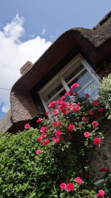 Little Thatch Cottage - Cerne Abbas, Dorset Exteriér fotografie