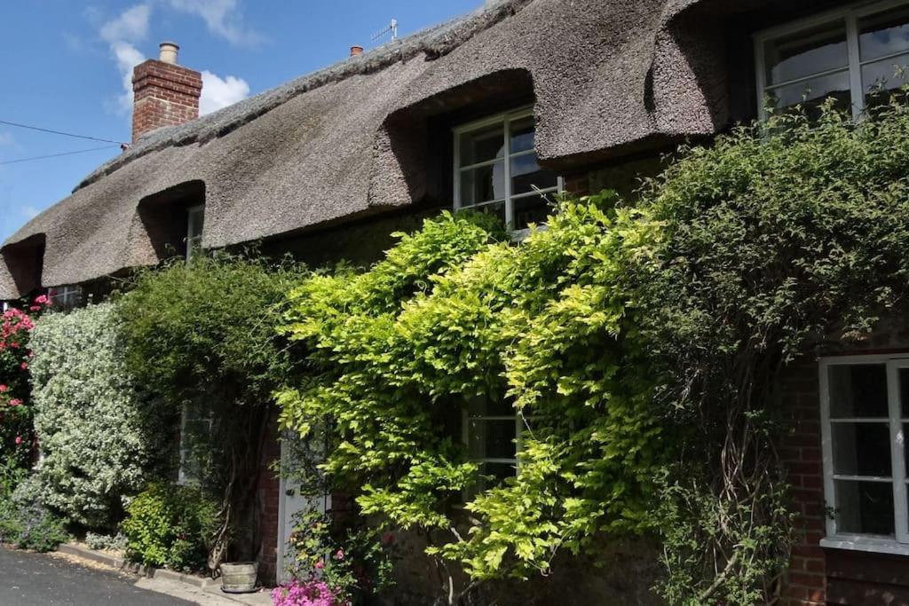 Little Thatch Cottage - Cerne Abbas, Dorset Exteriér fotografie